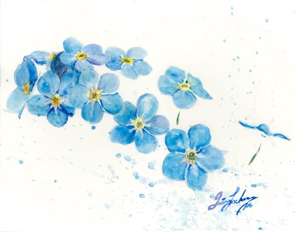 Незабудка цветок арт