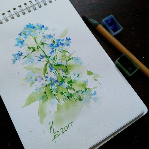 Акварельные незабудки