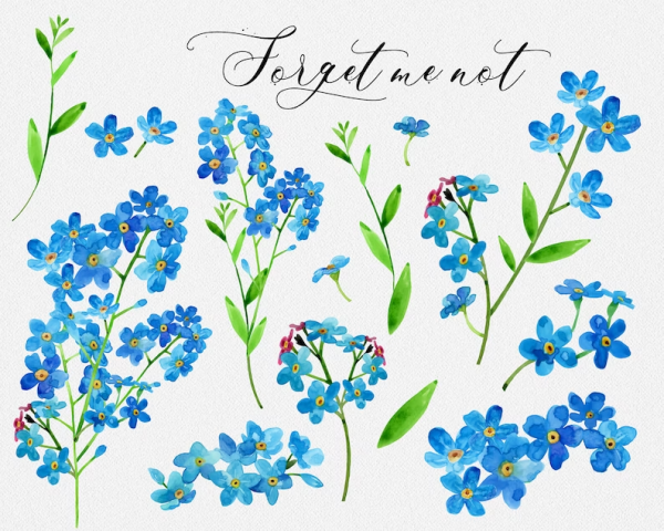 Картина голубые цветы карта дизайн