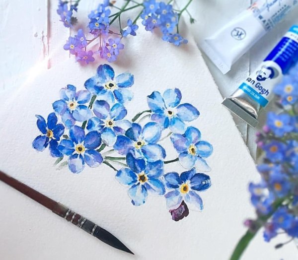 Незабудки акварелью