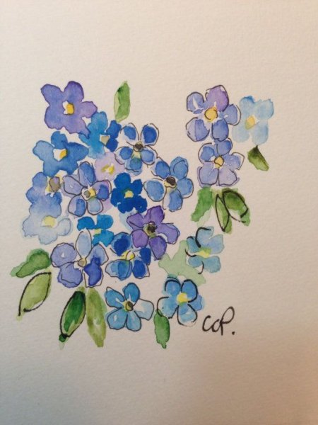 Незабудки акварелью