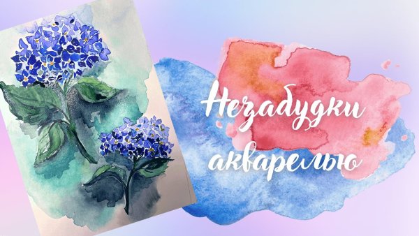 Франц мортедьманс незабудки