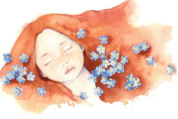 Незабудка акварельными карандашами