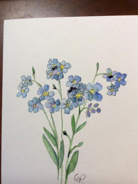 Незабудки акварелью