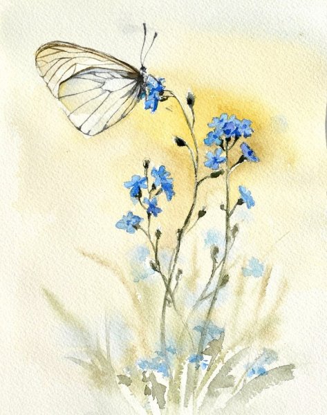 Незабудки букет акварель