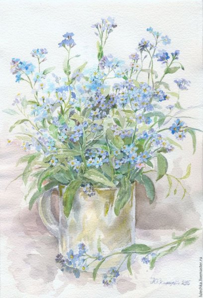 Цветы незабудки букет