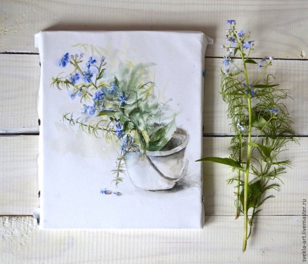 Веточка незабудки