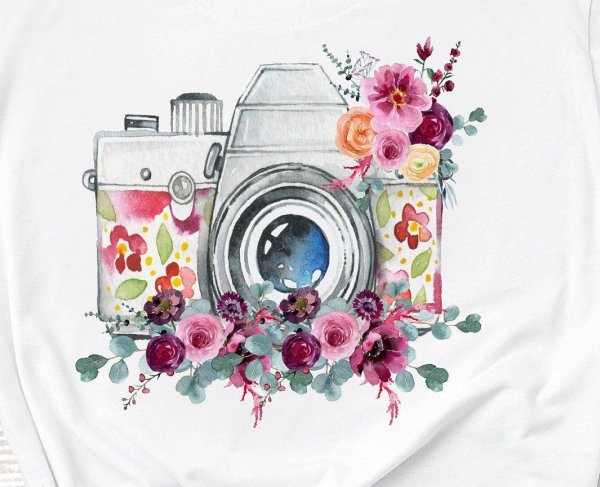 Фотоаппарат цветы акварель