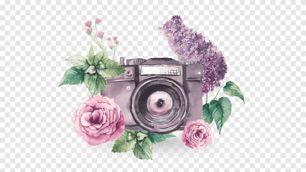 Фотоаппарат с цветами