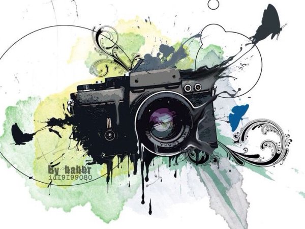 Фотоаппарат цветочками