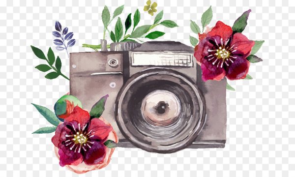 Фотоаппарат в цветах