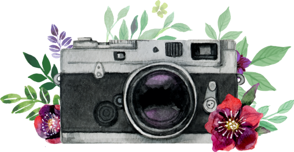 Фотоаппарат красками