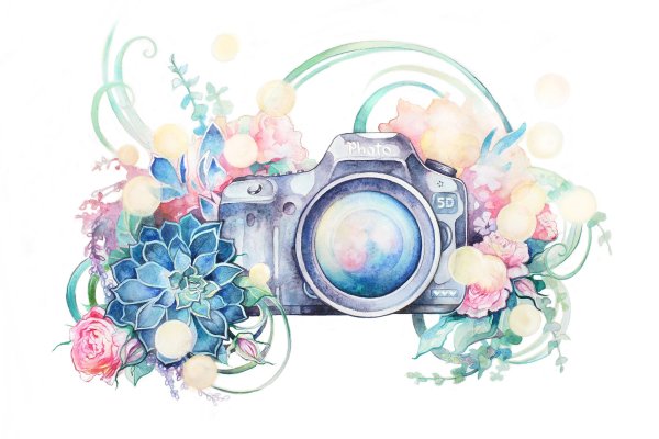 Фотоаппарат с цветами