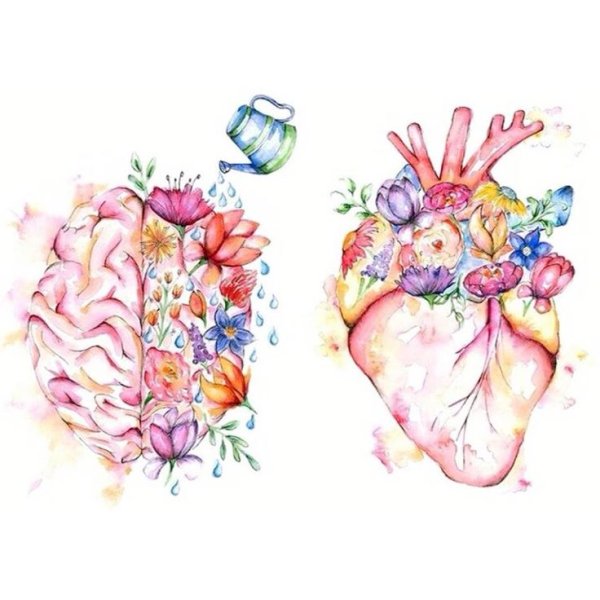 Сердце акварель