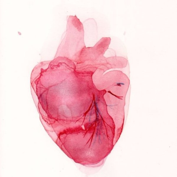 Человеческое сердце арт