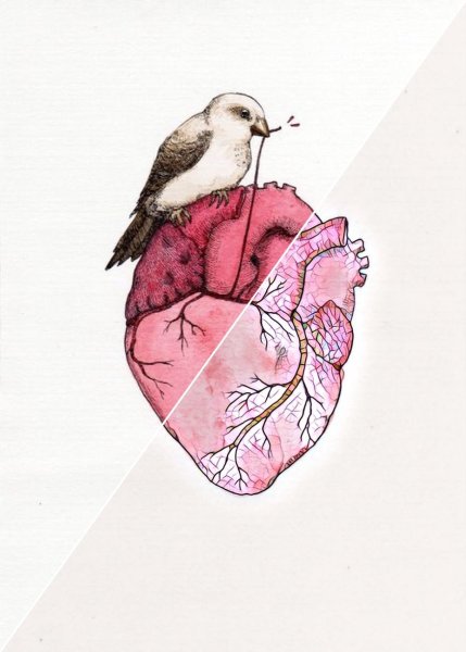 Сердечко акварель