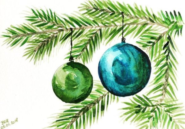 Можжевельник акварель