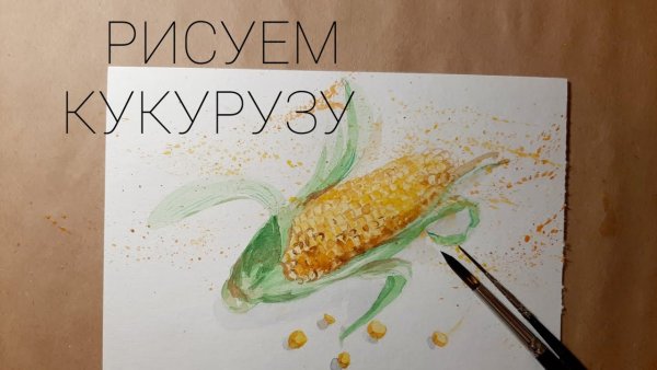 Кукуруза ботаника