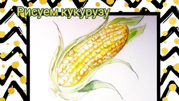 Кукуруза Ботаническая живопись