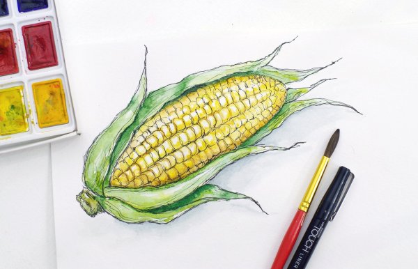 Татьяна Ширбидова акварель