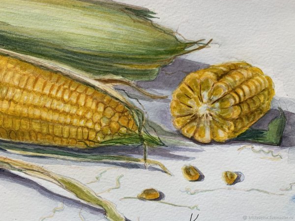 Кукуруза маркерами