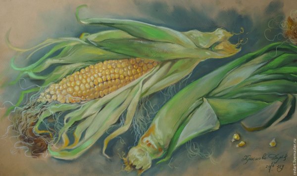 Скетч кукуруза акварелью