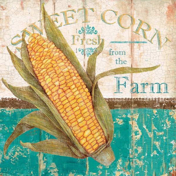 Кукуруза Ботаническая живопись