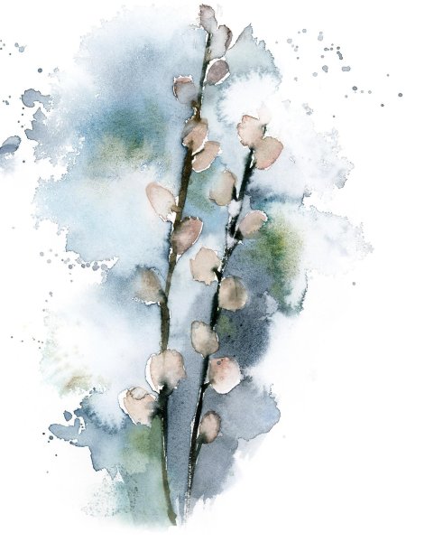 Акварельные веточки
