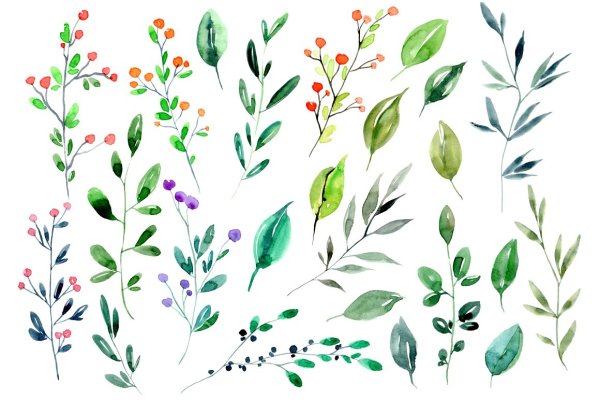 Акварельные веточки