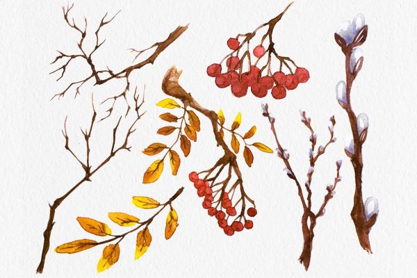 Ветка для рисования