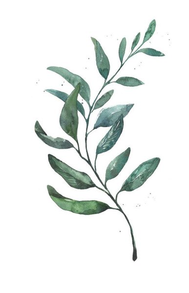 Листья акварель