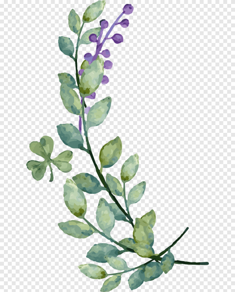 Акварельные веточки