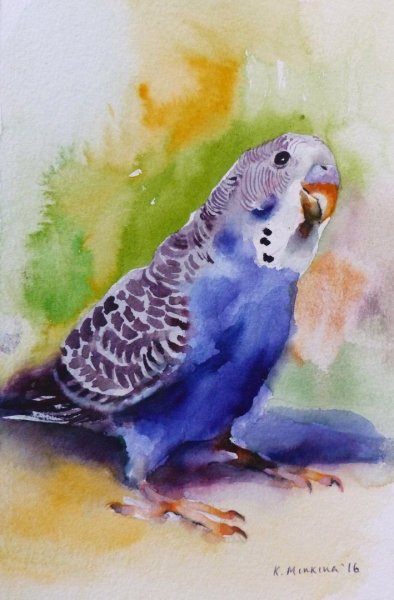 Акварельный попугай