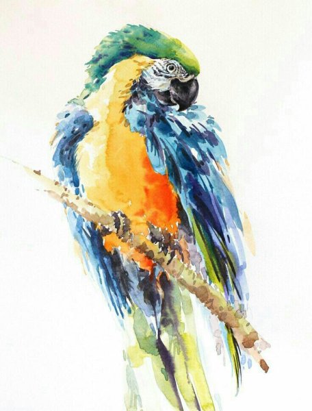 Картинки для срисовки красками