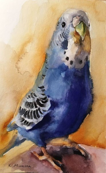 Ожереловый попугай арт