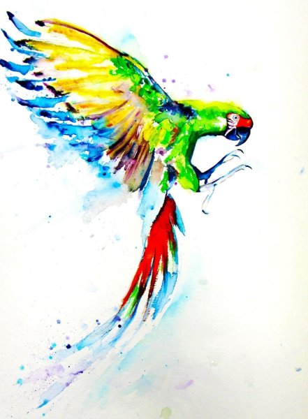 Попугай акварелью для детей