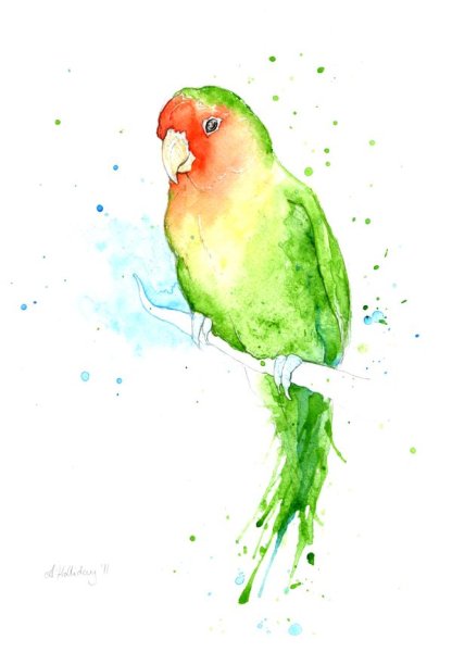 Акварельный попугай