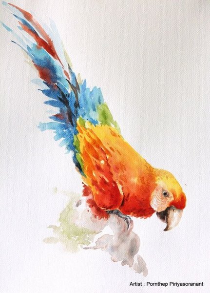 Попугай акварельными красками