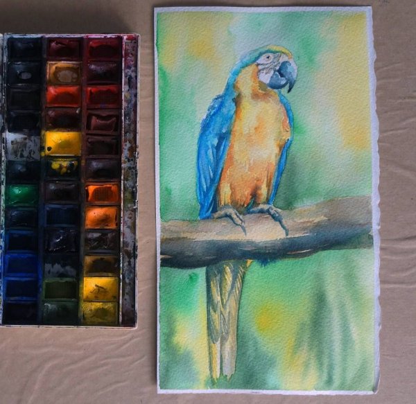 Рисунки акварелью