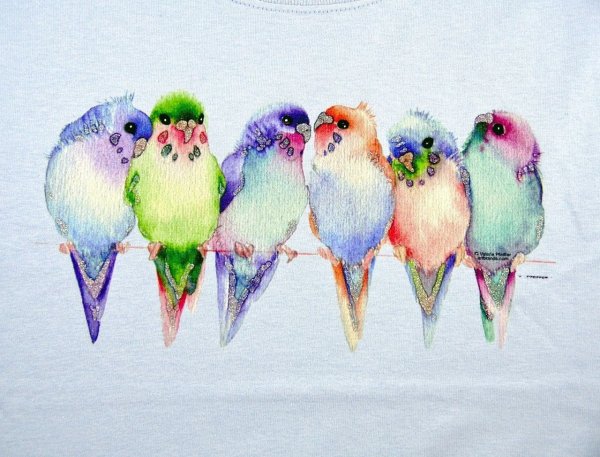 Ожереловый попугай нарисовать