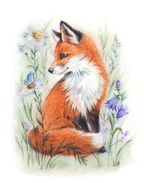 Лиса рисунок