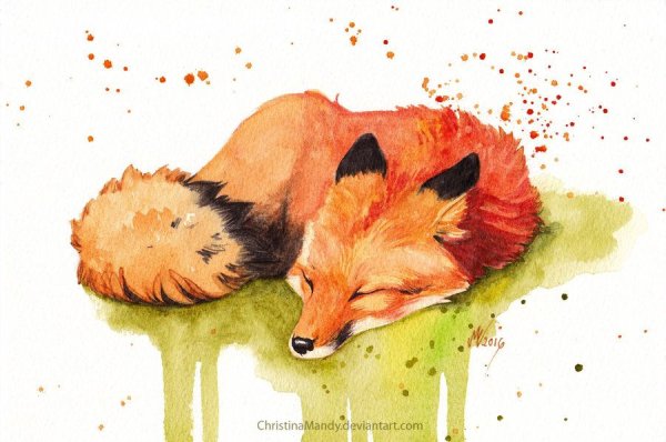 Милые лисички арт