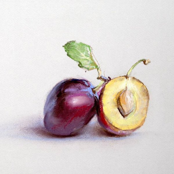 Слива живопись акварель