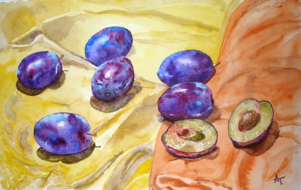 Слива акварель Андрияка
