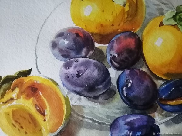 Слива акварелью