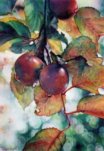 Марина Орлюк акварель сливы