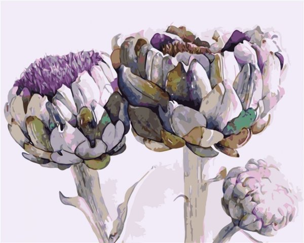 Роберт МАКНЕЙЛЛ Ботаническая живопись