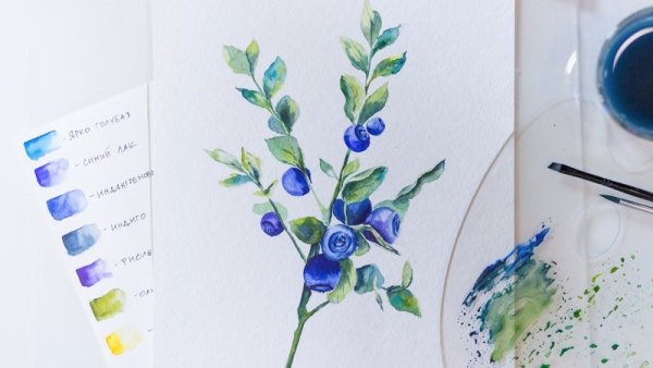 Ботанический скетчинг акварель для начинающих