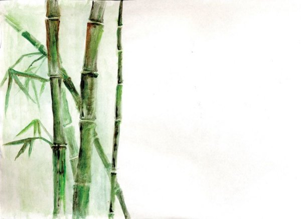 Бамбук красками