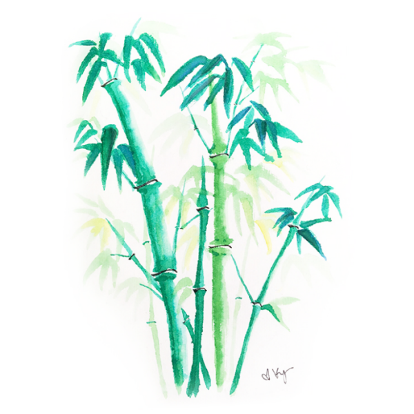 Бамбук акварель